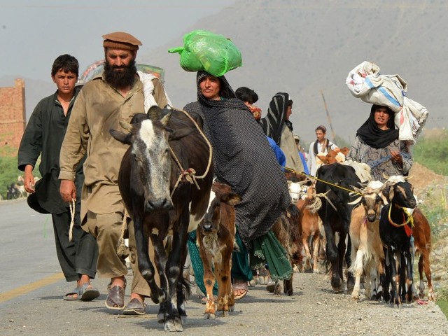 Waziristan IDPs