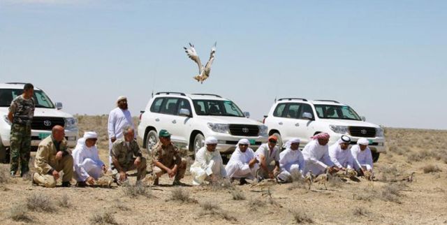 Arabs hunting houbara bustrad in Pakistan
