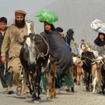 How to help Waziristan IDPs?