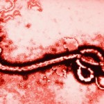 Ebola in Pakistan: How to find and deal with deadly Ebola Virus